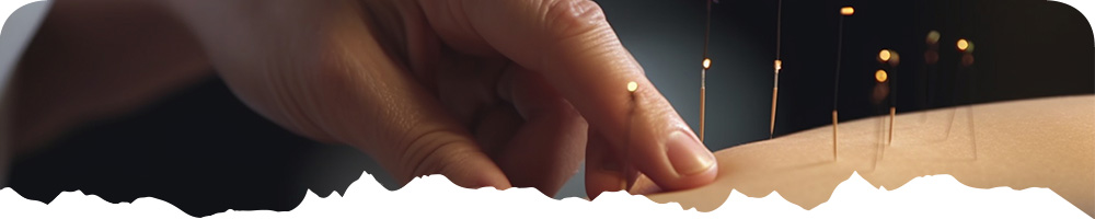 jehly_banner_produkt2